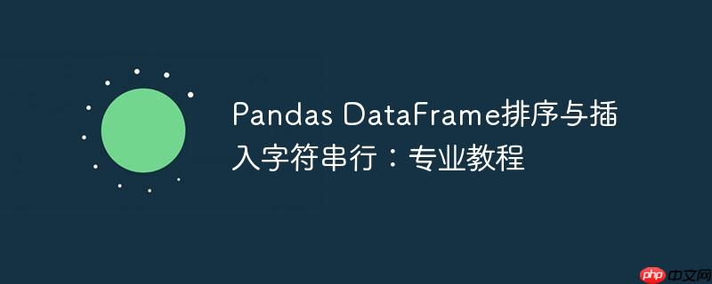 Pandas DataFrame排序与插入字符串行：专业教程