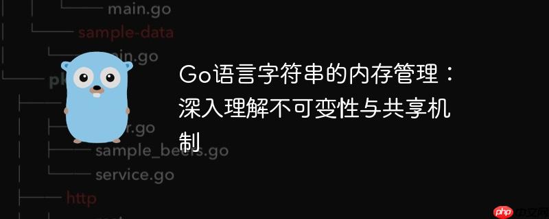 Go语言字符串的内存管理：深入理解不可变性与共享机制