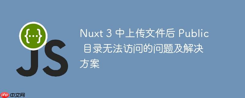Nuxt 3 中上传文件后 Public 目录无法访问的问题及解决方案