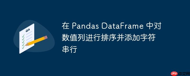 在 pandas dataframe 中对数值列进行排序并添加字符串行