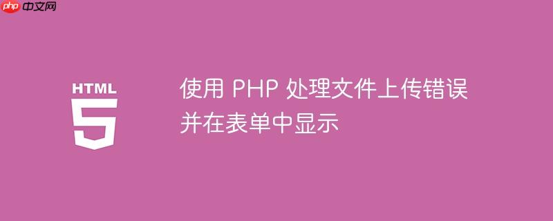 使用 PHP 处理文件上传错误并在表单中显示