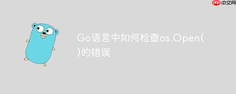 Go语言中如何检查os.Open()的错误