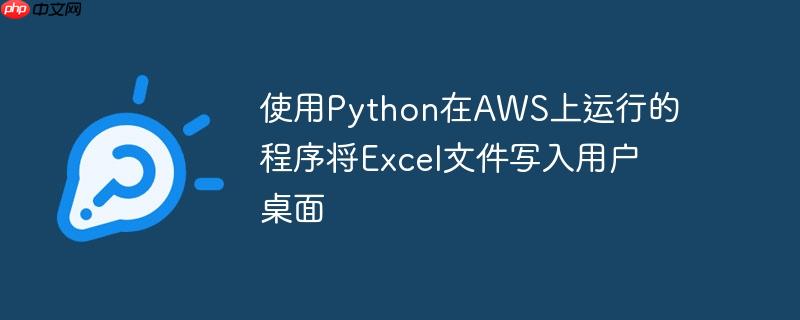使用python在aws上运行的程序将excel文件写入用户桌面