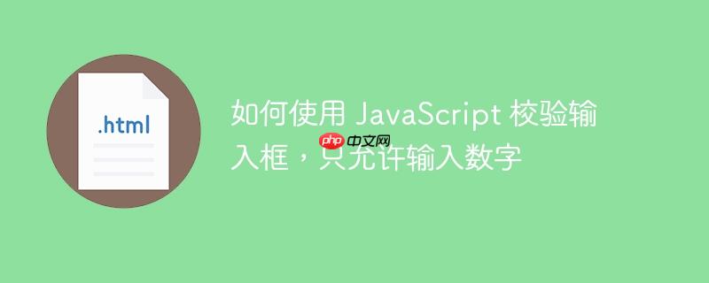 如何使用 JavaScript 校验输入框，只允许输入数字