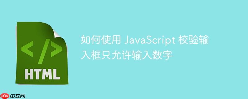 如何使用 JavaScript 校验输入框只允许输入数字