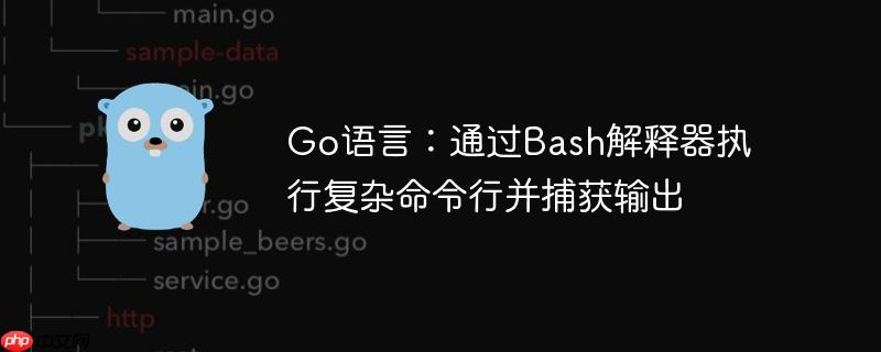 Go语言：通过Bash解释器执行复杂命令行并捕获输出