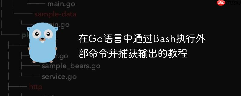 在Go语言中通过Bash执行外部命令并捕获输出的教程