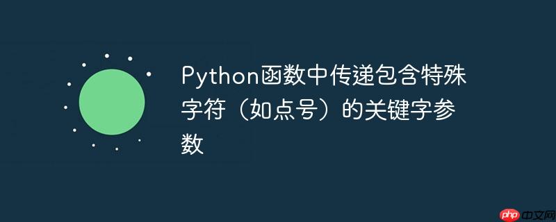 python函数中传递包含特殊字符（如点号）的关键字参数