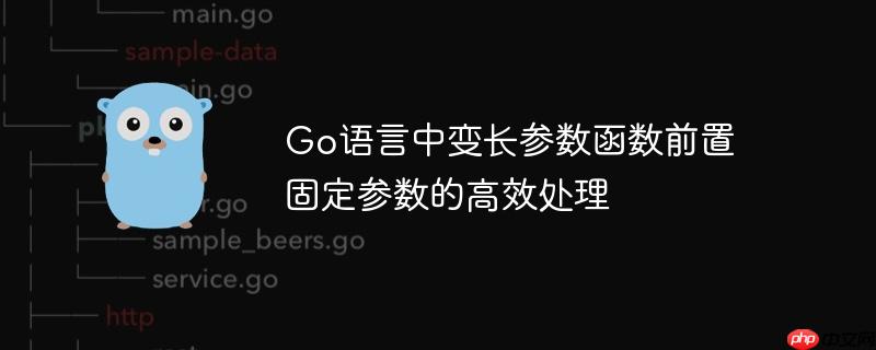 Go语言中变长参数函数前置固定参数的高效处理