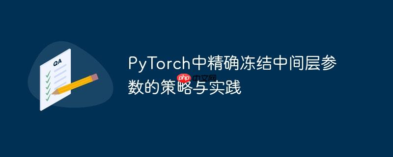 PyTorch中精确冻结中间层参数的策略与实践