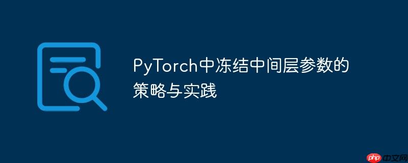 PyTorch中冻结中间层参数的策略与实践
