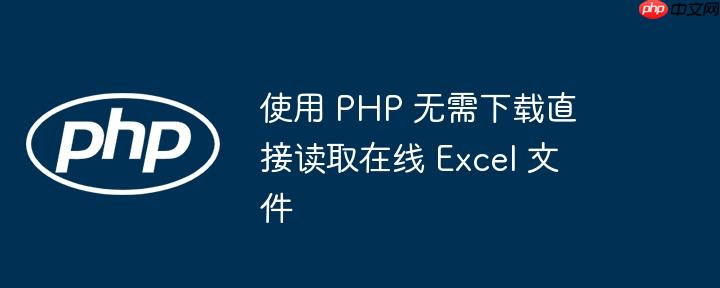 使用 php 无需下载直接读取在线 excel 文件
