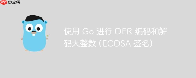 使用 Go 进行 DER 编码和解码大整数 (ECDSA 签名)