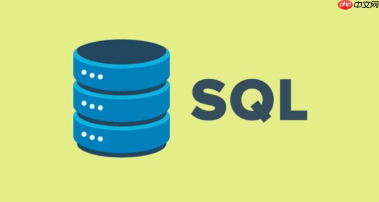 SQL视图的性能调优技巧：提升SQL查询效率的实用方法