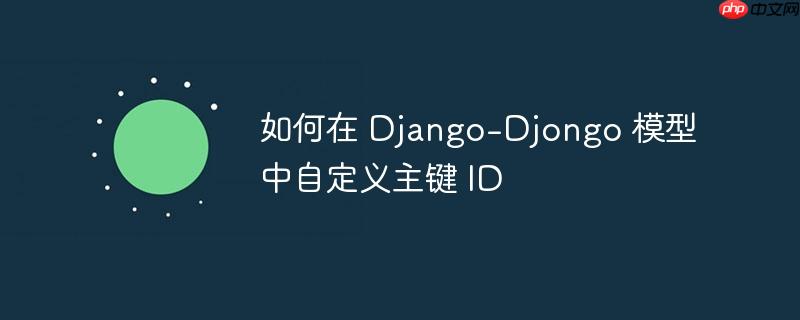 如何在 django-djongo 模型中自定义主键 id