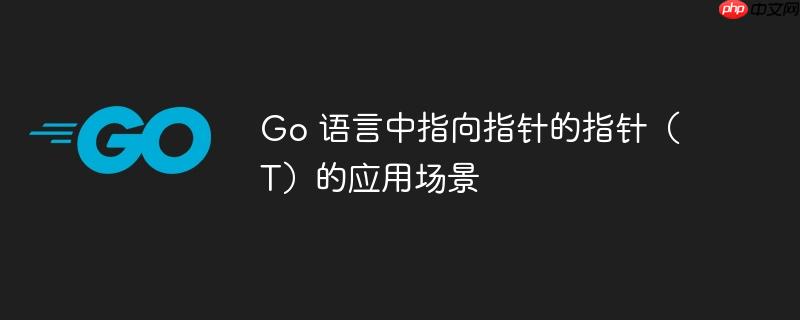Go 语言中指向指针的指针（T）的应用场景