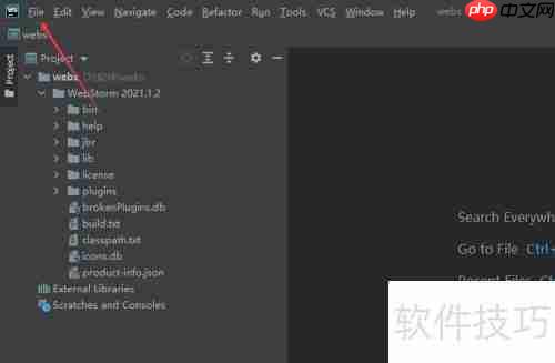WebStorm脚本语言设置指南