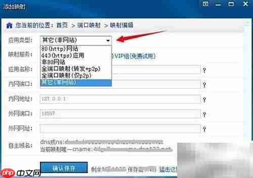 蛤蟆吃创建网络出错