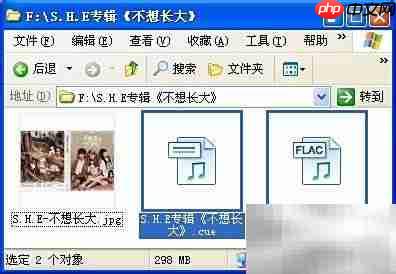 FLAC整轨转分轨WAV教程