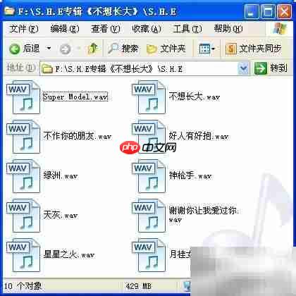 FLAC整轨转分轨WAV教程
