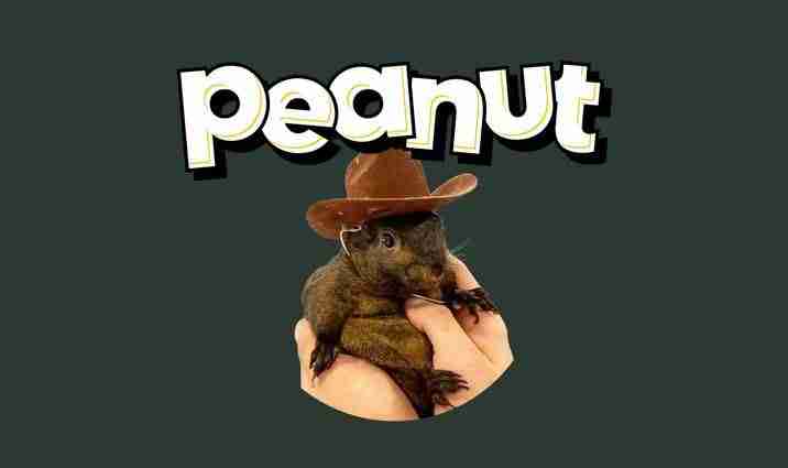 松鼠币(PNUT)是什么？能否达到$10？PNUT币价格预测
