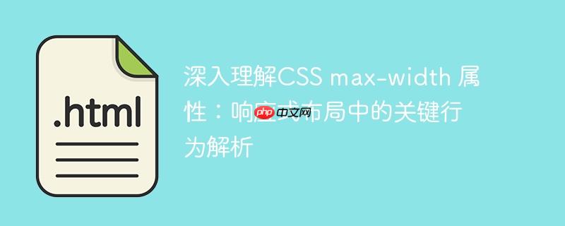 深入理解CSS max-width 属性：响应式布局中的关键行为解析