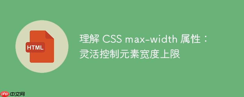 理解 CSS max-width 属性：灵活控制元素宽度上限