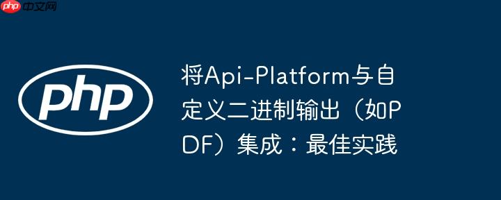 将api-platform与自定义二进制输出（如pdf）集成：最佳实践