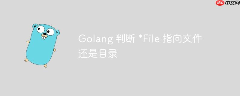 Golang 判断 *File 指向文件还是目录