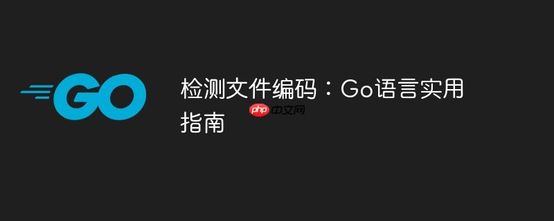 检测文件编码：Go语言实用指南