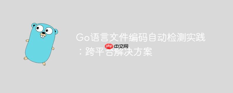 Go语言文件编码自动检测实践：跨平台解决方案