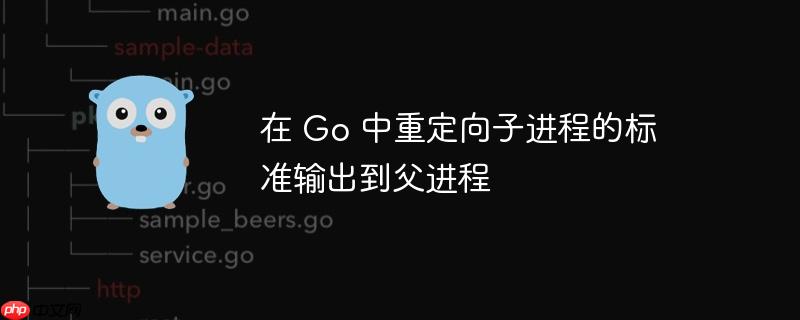 在 Go 中重定向子进程的标准输出到父进程