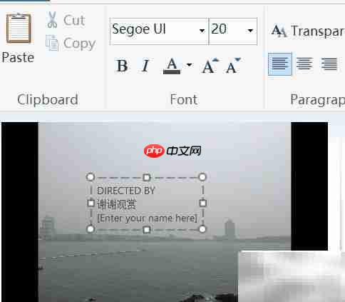 用Movie Maker制作小电影