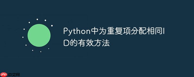 python中为重复项分配相同id的有效方法