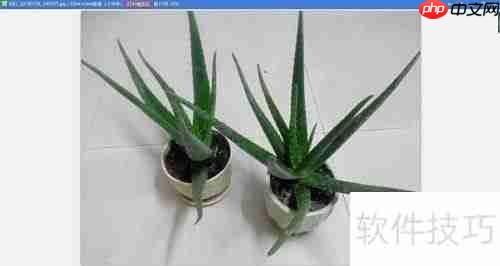 如何用看图软件调整图片大小