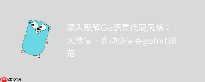 深入理解Go语言代码风格：大括号、自动分号与gofmt规范