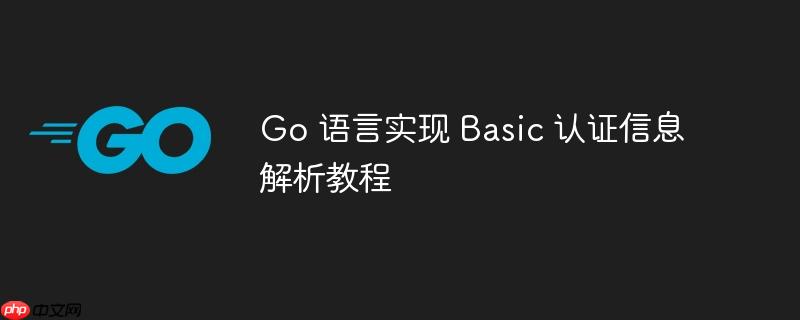 Go 语言实现 Basic 认证信息解析教程