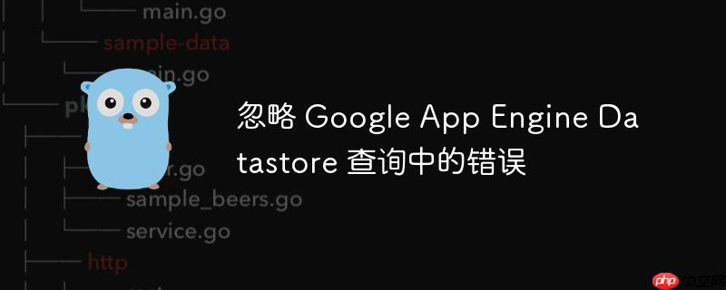 忽略 Google App Engine Datastore 查询中的错误