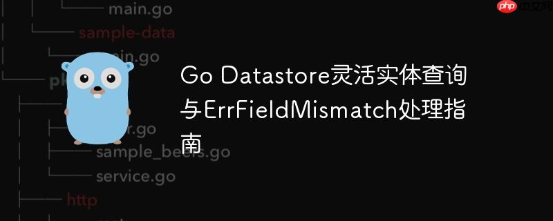 Go Datastore灵活实体查询与ErrFieldMismatch处理指南