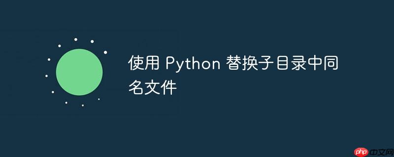 使用 python 替换子目录中同名文件