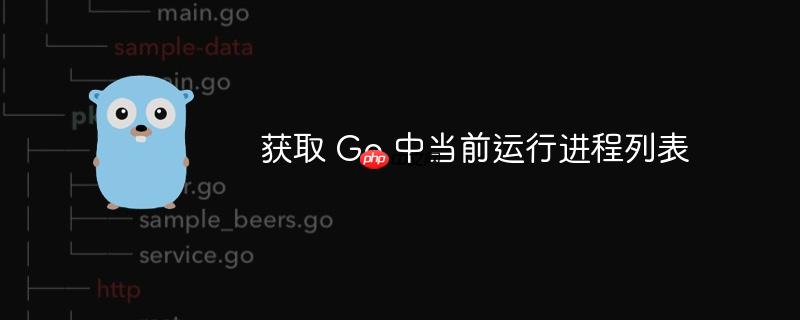 获取 Go 中当前运行进程列表