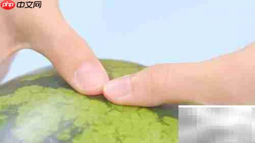 挑西瓜的5个实用小技巧