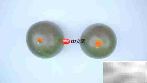 挑西瓜的5个实用小技巧