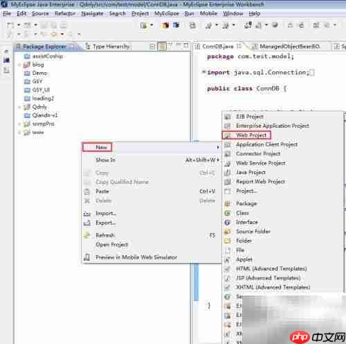 MyEclipse专业版使用指南
