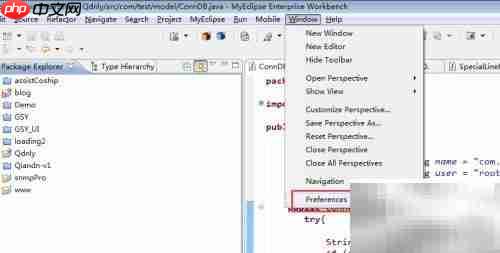 MyEclipse专业版使用指南