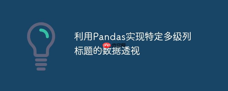 利用pandas实现特定多级列标题的数据透视