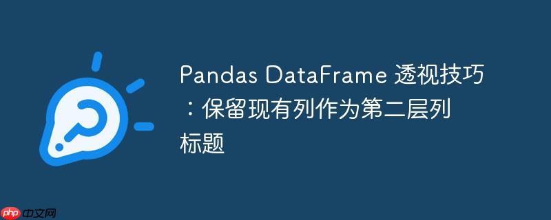 pandas dataframe 透视技巧：保留现有列作为第二层列标题