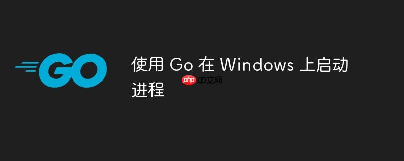 使用 Go 在 Windows 上启动进程