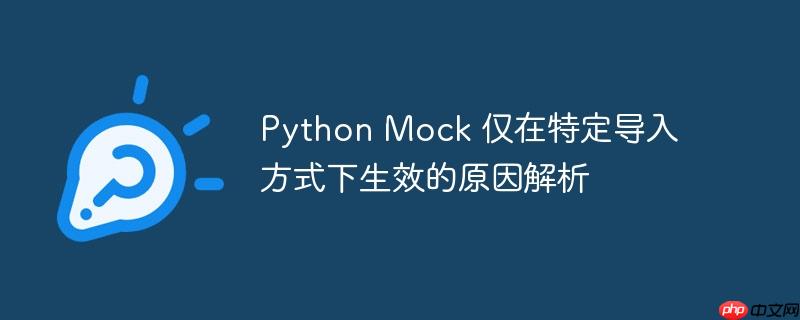 python mock 仅在特定导入方式下生效的原因解析