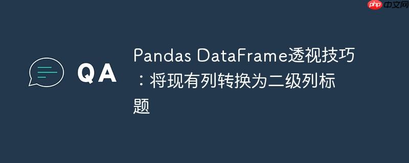 pandas dataframe透视技巧：将现有列转换为二级列标题